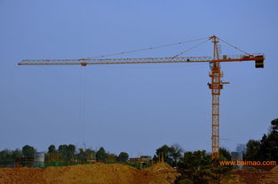 选购指南 供应施工升降机与工程机械的全面解析